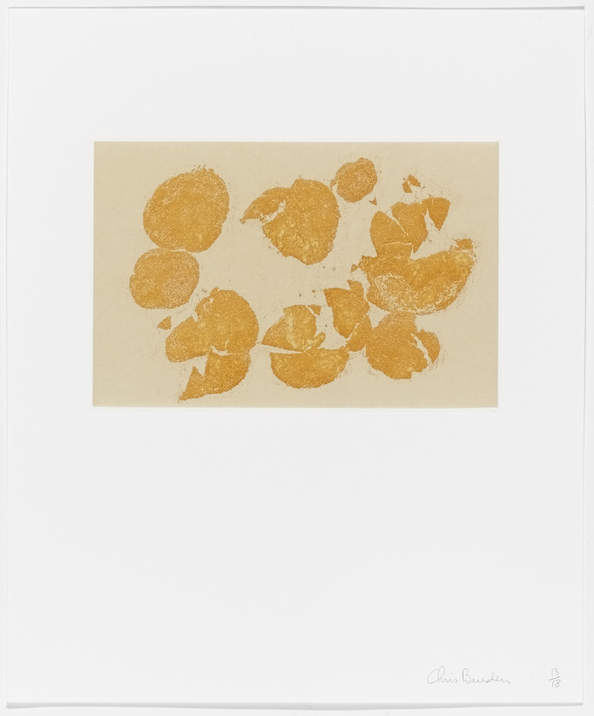 Untitled from Coyote Stories