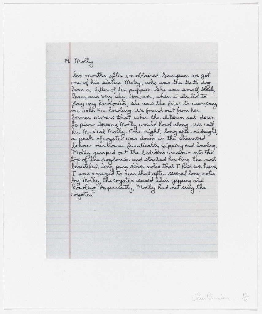 Untitled from Coyote Stories