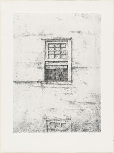 The Window