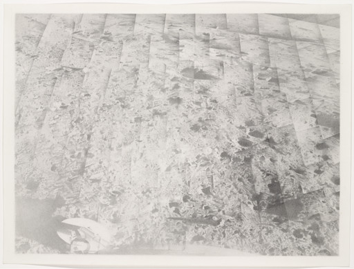 Vija Celmins. Moon Surface (Surveyor I). 1971-72