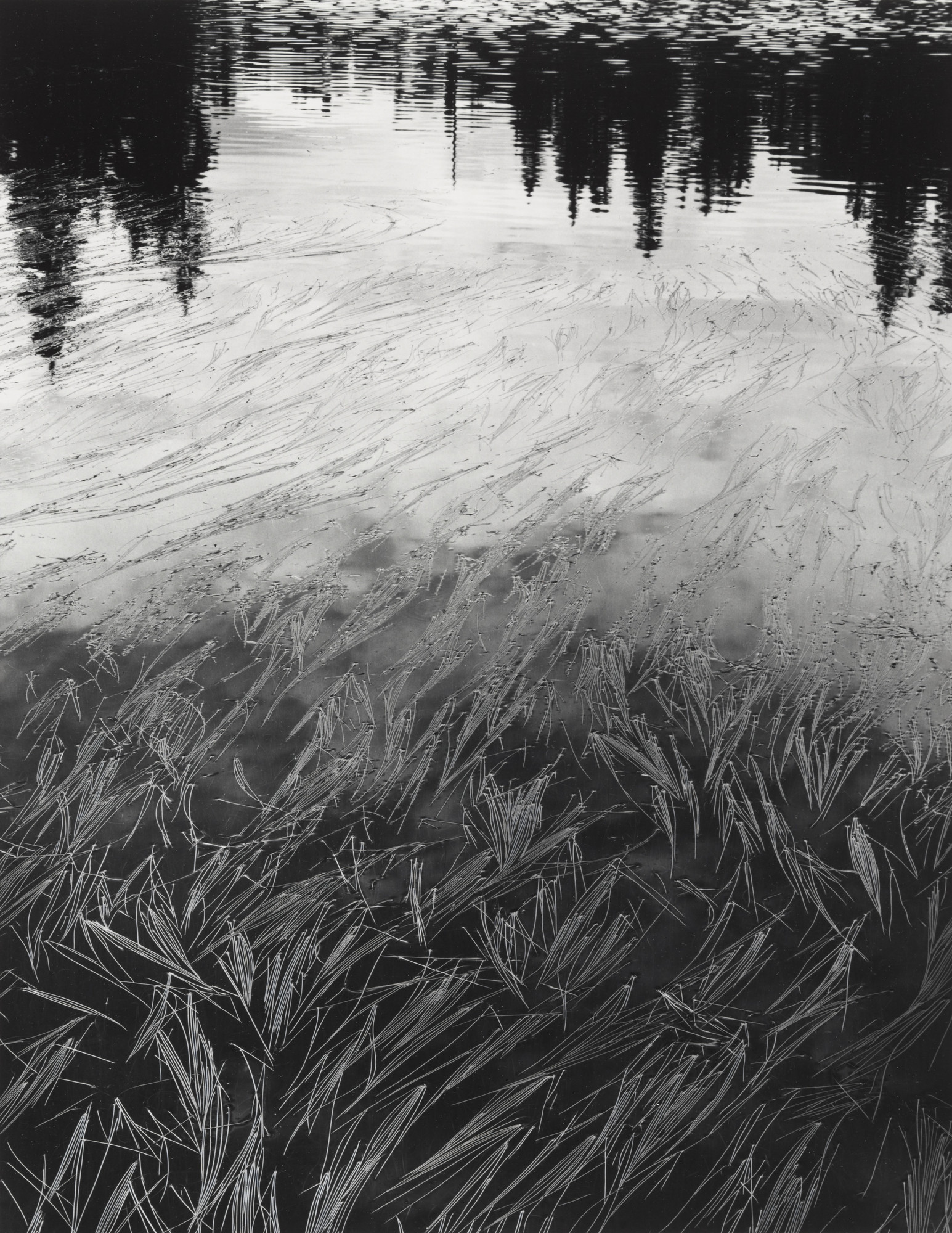 Don Worth. Grass and Water, Mt Baker, Washington