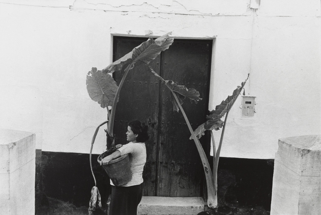 Spain, Camino de Anteguerra, Malaga