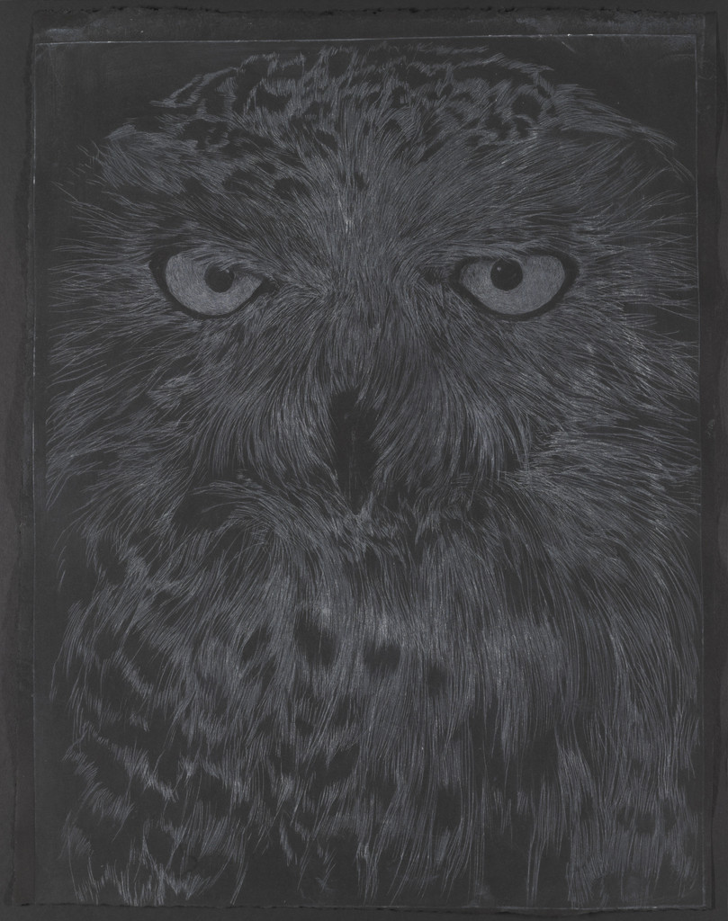 Drawing