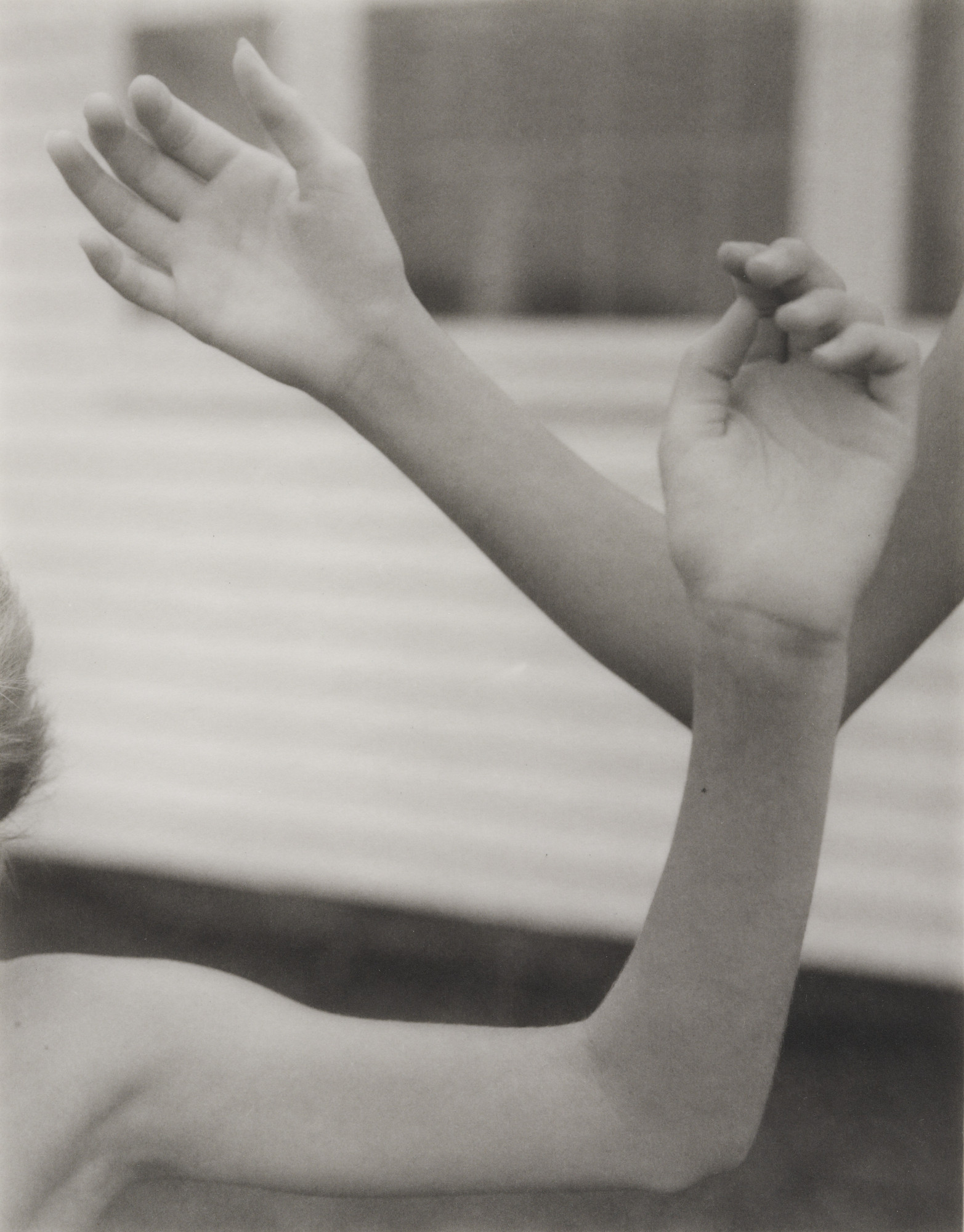 Jan Groover. Untitled
