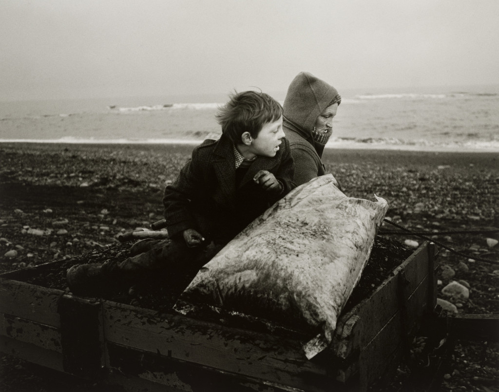 Rocker and Rosie Going Home, Seacoal Beach, Lynemouth, Northumberland