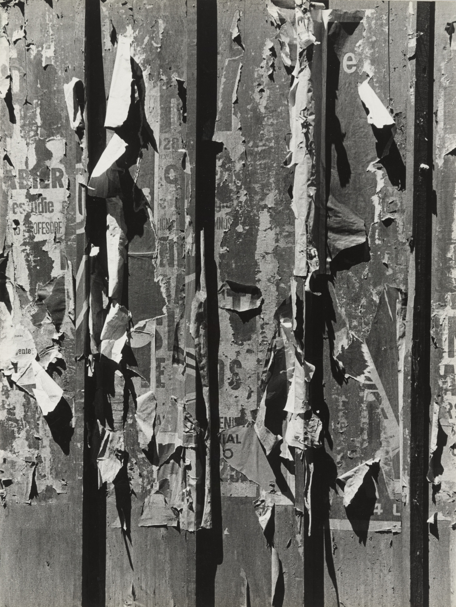 Sameer Makarius. Untitled