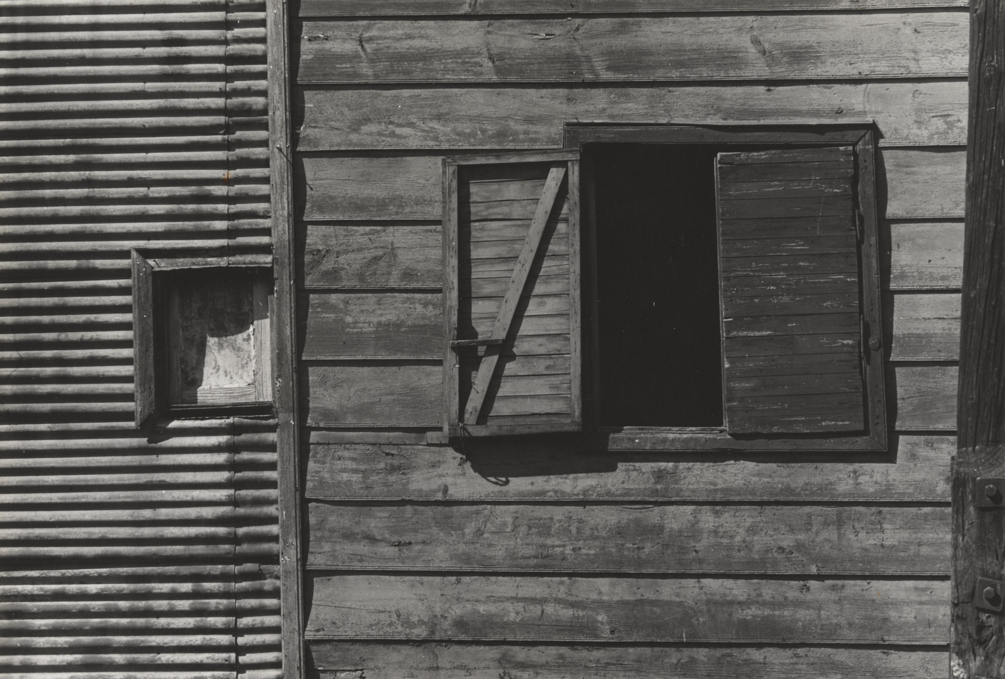 Sameer Makarius. Untitled