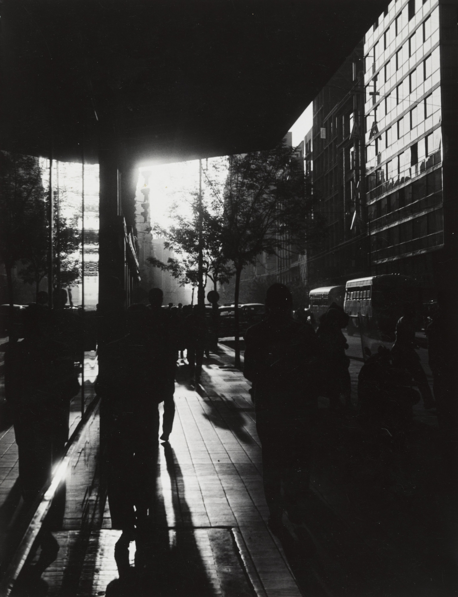 Sameer Makarius. Untitled