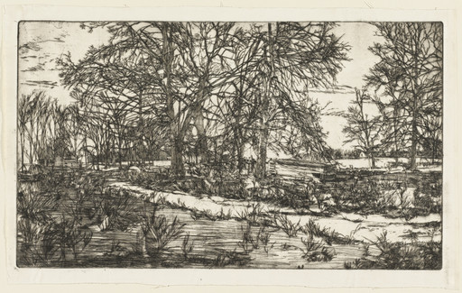 Cow Pasture