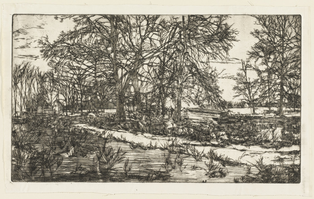 Cow Pasture, Timothy West, 1955