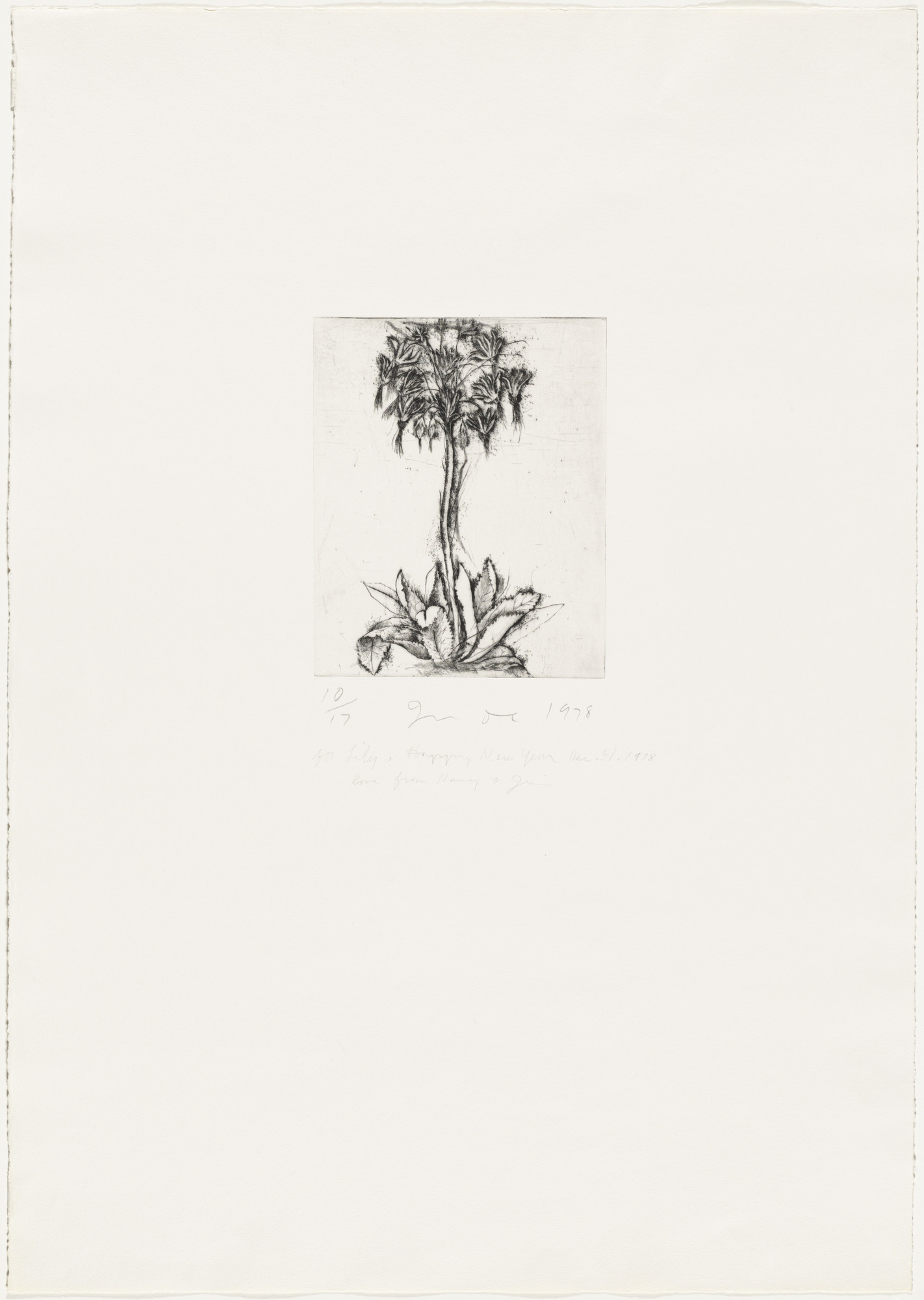 Jim Dine. Primrose