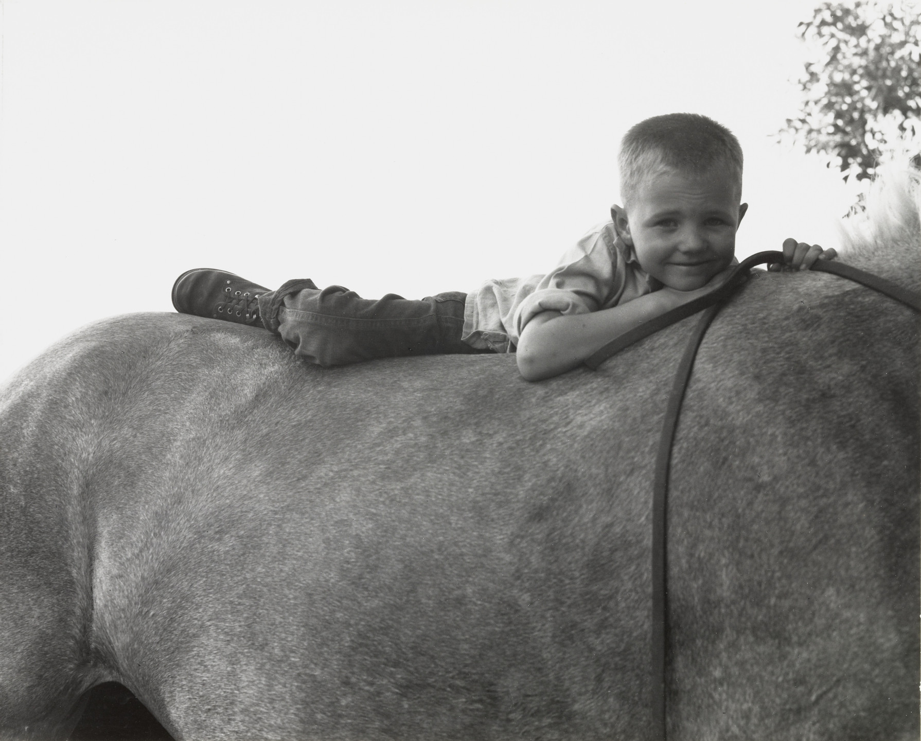 Dorothea Lange. Gunlock, Utah. 1953