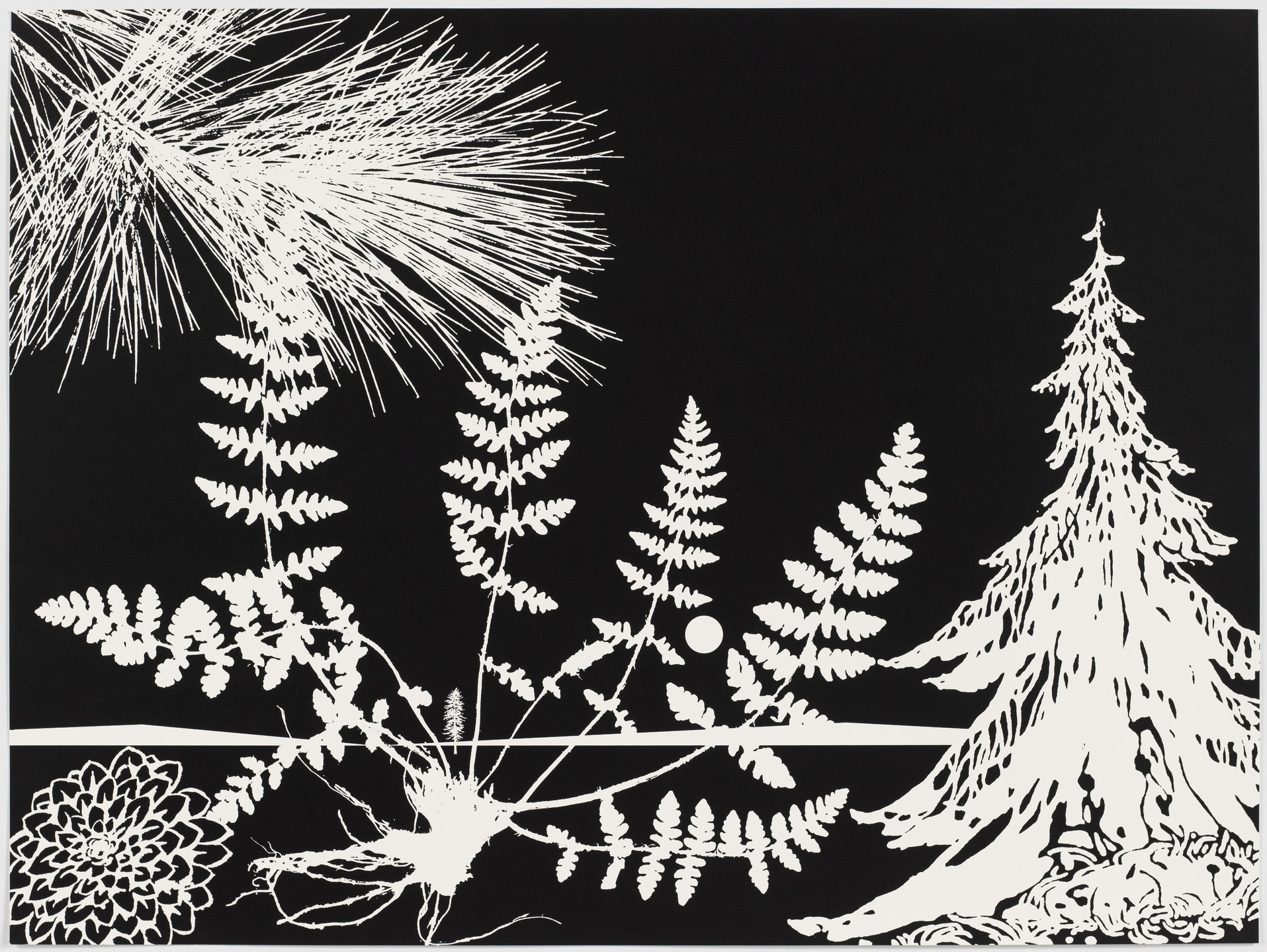 Paul Morrison. Untitled from Black Dahlias. 2002