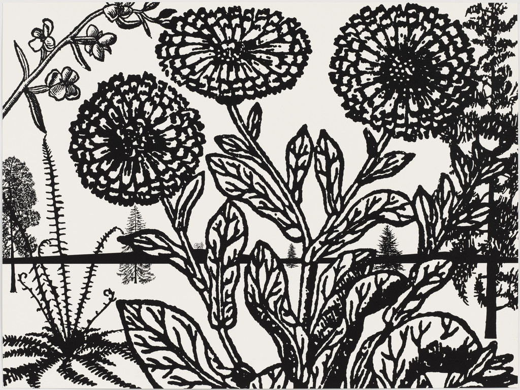 Untitled from Black Dahlias