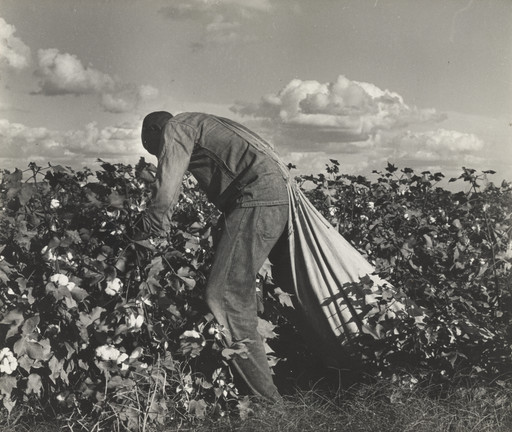 Dorothea Lange. Cotton Picker, San Joaquin Valley, California. 1938