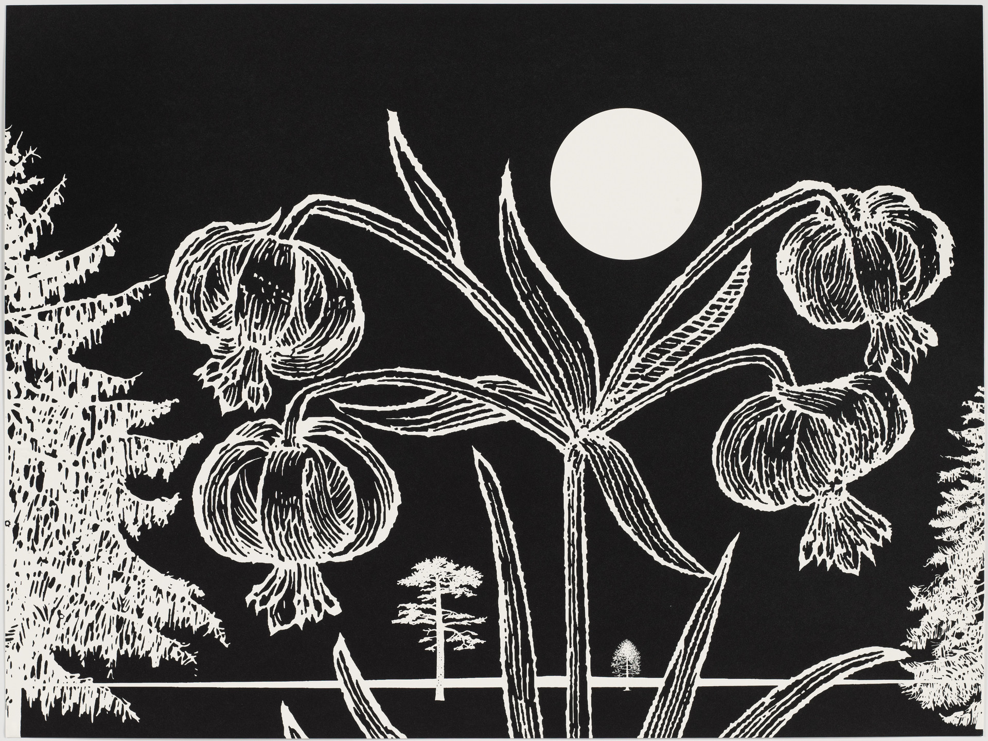 Paul Morrison. Untitled from Black Dahlias. 2002