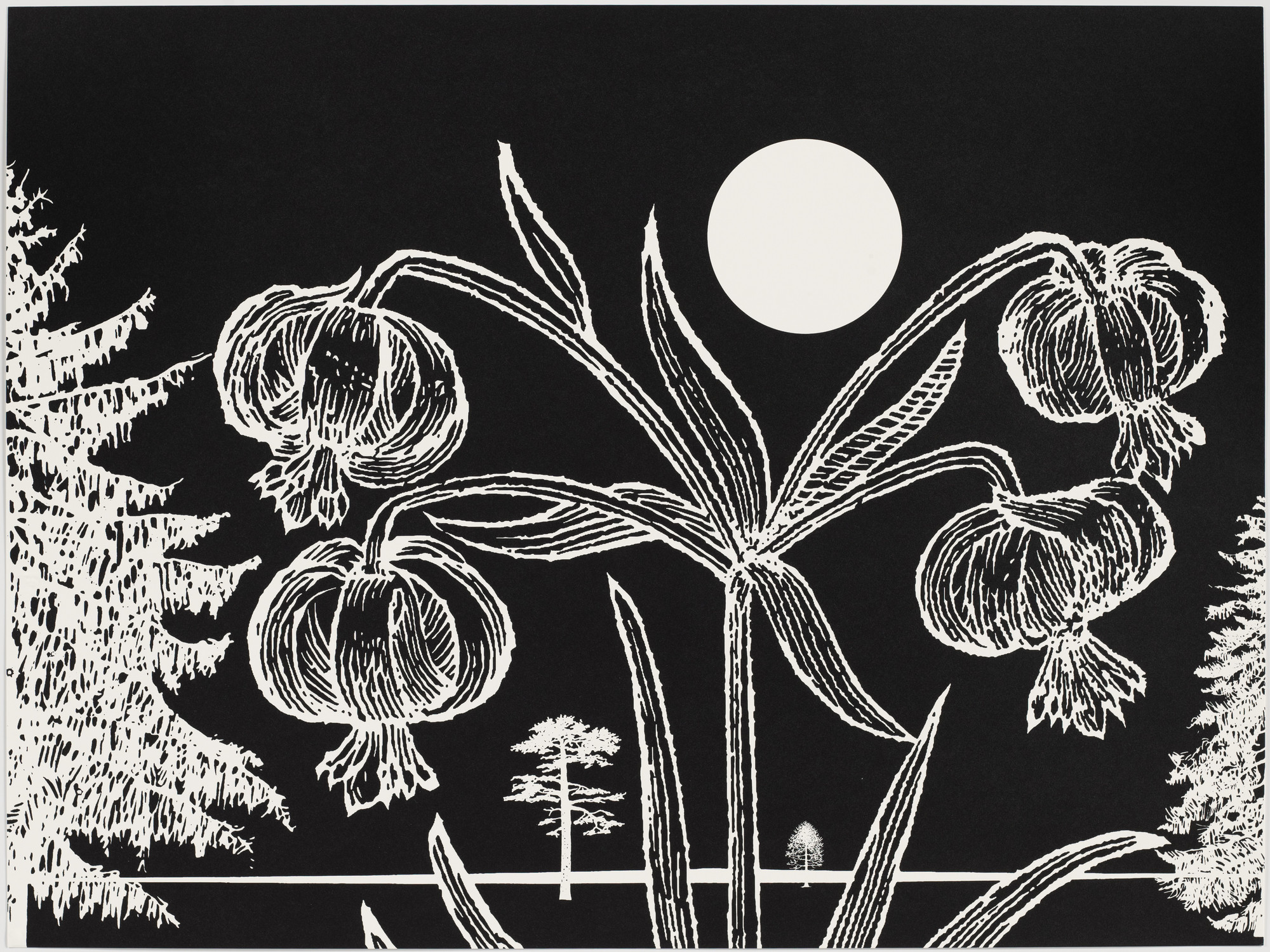Paul Morrison. Untitled from Black Dahlias