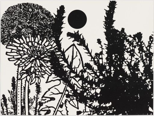 Untitled from Black Dahlias