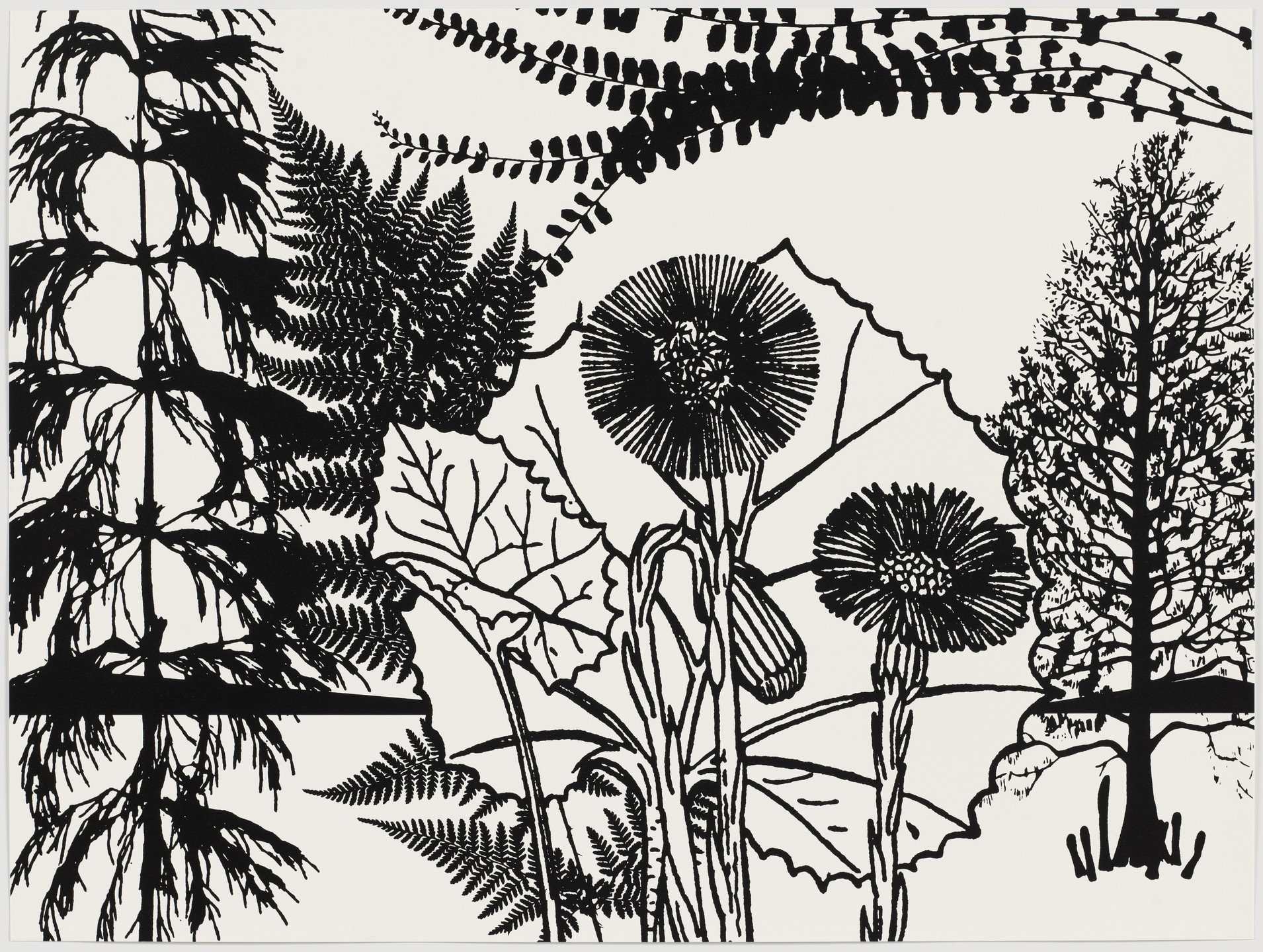 Paul Morrison. Untitled from Black Dahlias. 2002