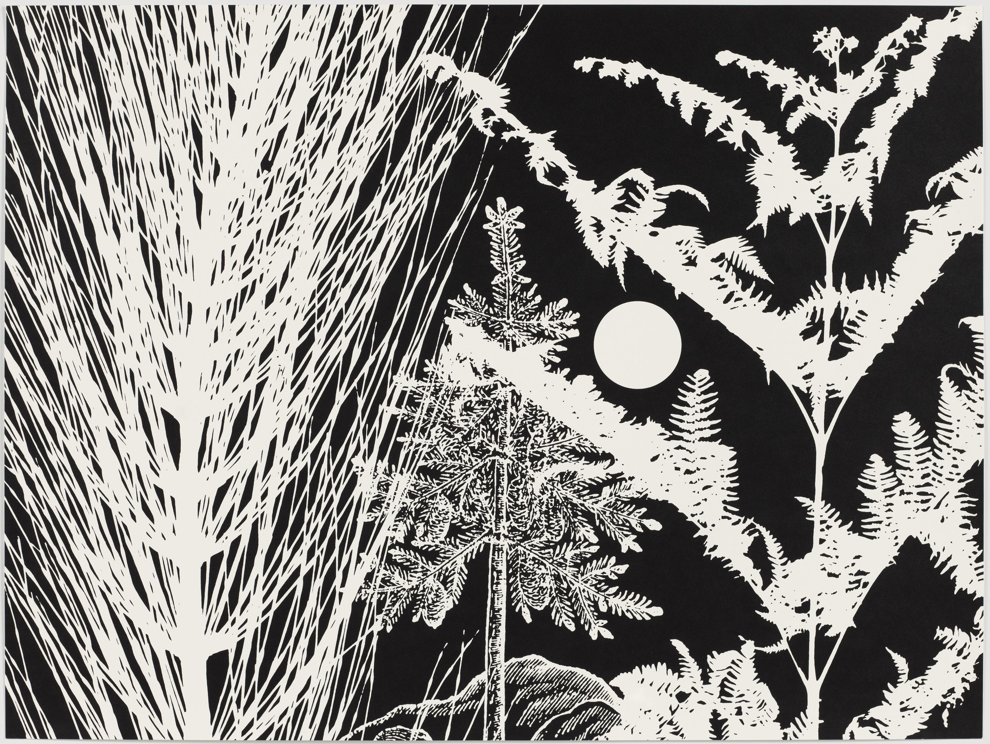 Paul Morrison. Untitled from Black Dahlias