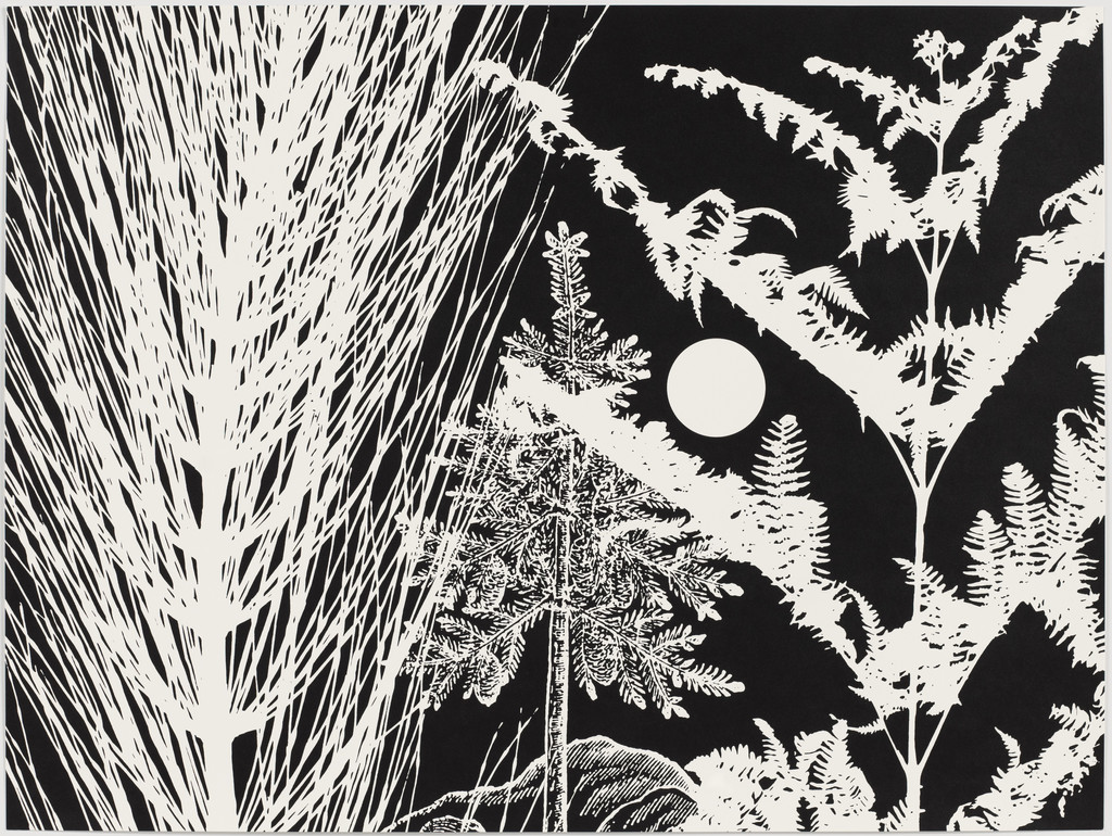 Untitled from Black Dahlias