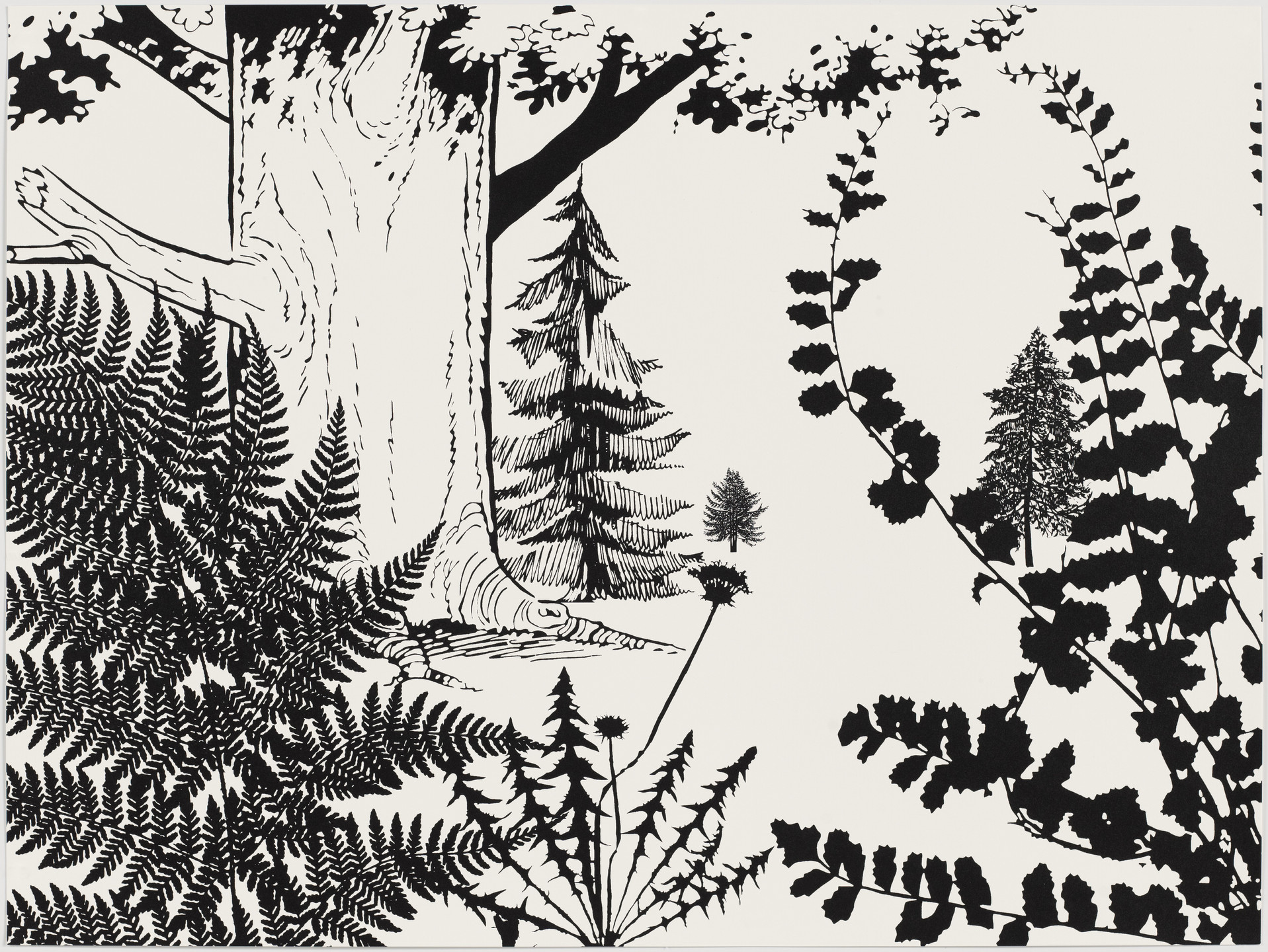 Paul Morrison. Untitled from Black Dahlias. 2002