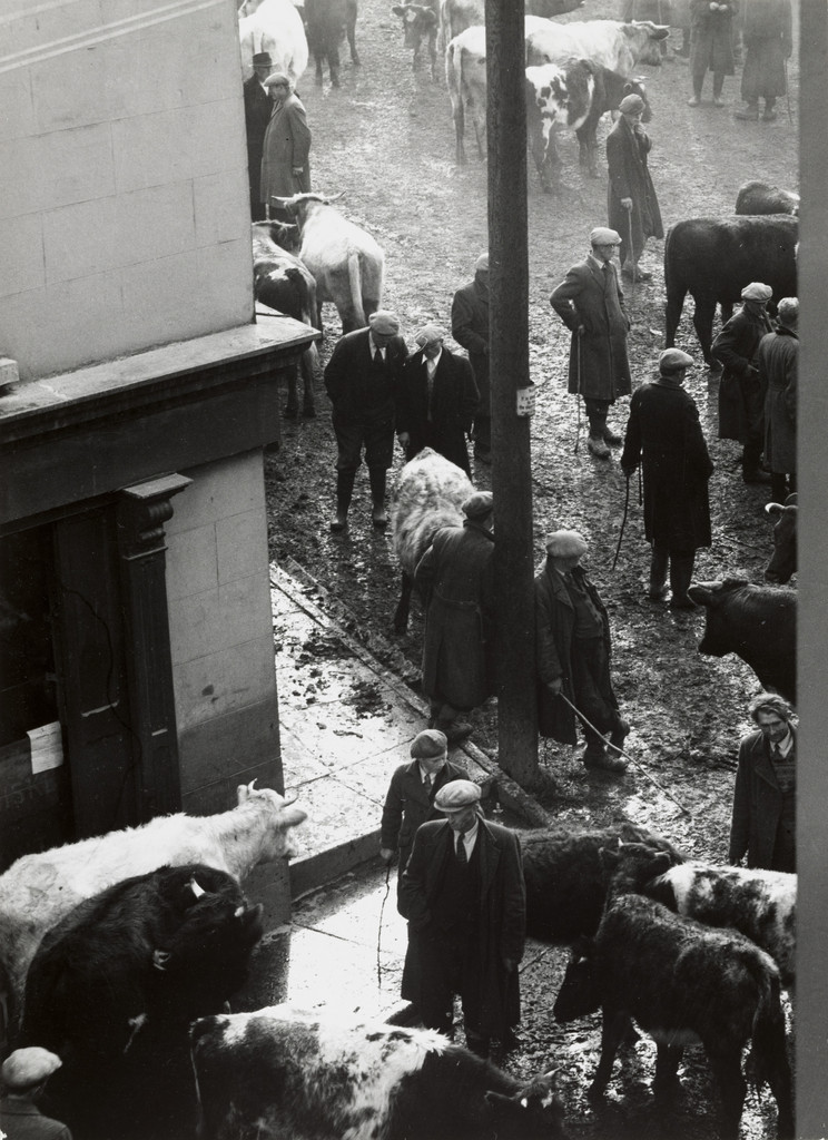 Market Day, Western Ireland