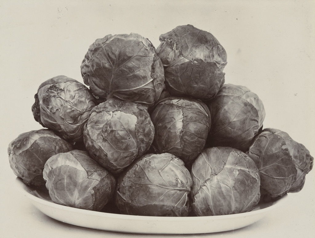 Brussels Sprouts