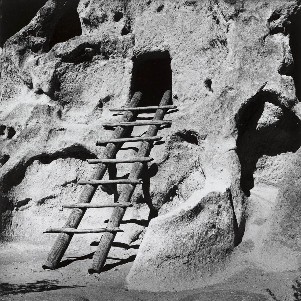 Ladder