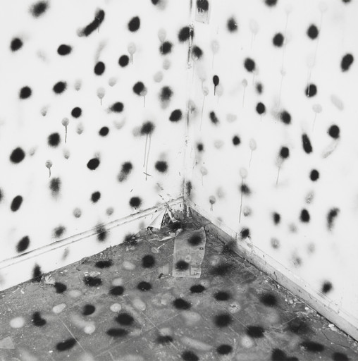 Untitled from the series Vandalism