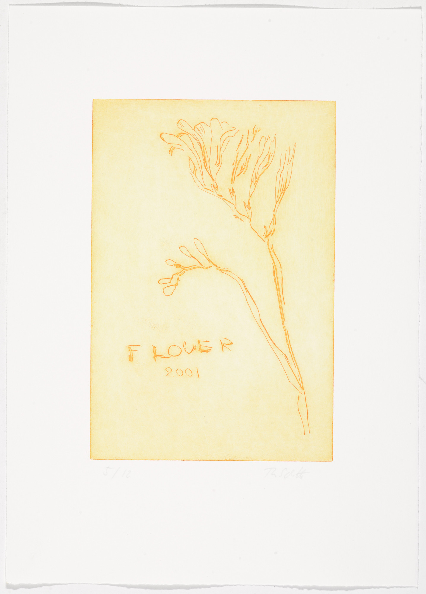 Thomas Schütte. Low Tide Wandering No. 43 (Wattwanderung No. 43) from Low Tide Wandering (Wattwanderung)