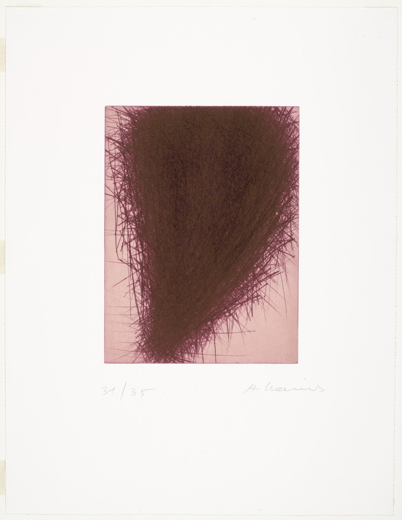 Rot Wein Im Strauch (Red Wine in the Bush) by Arnulf Rainer