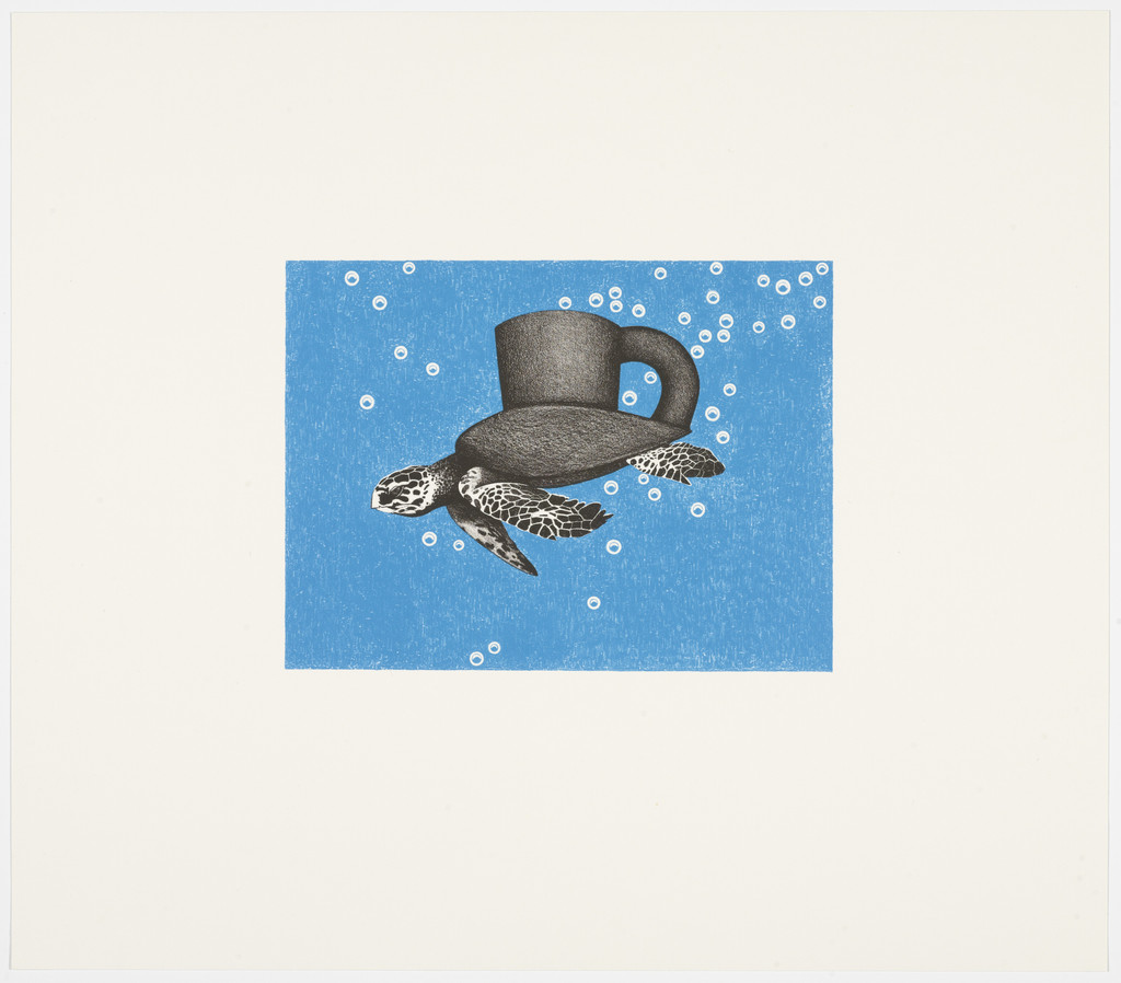 Sea Turtle Cup