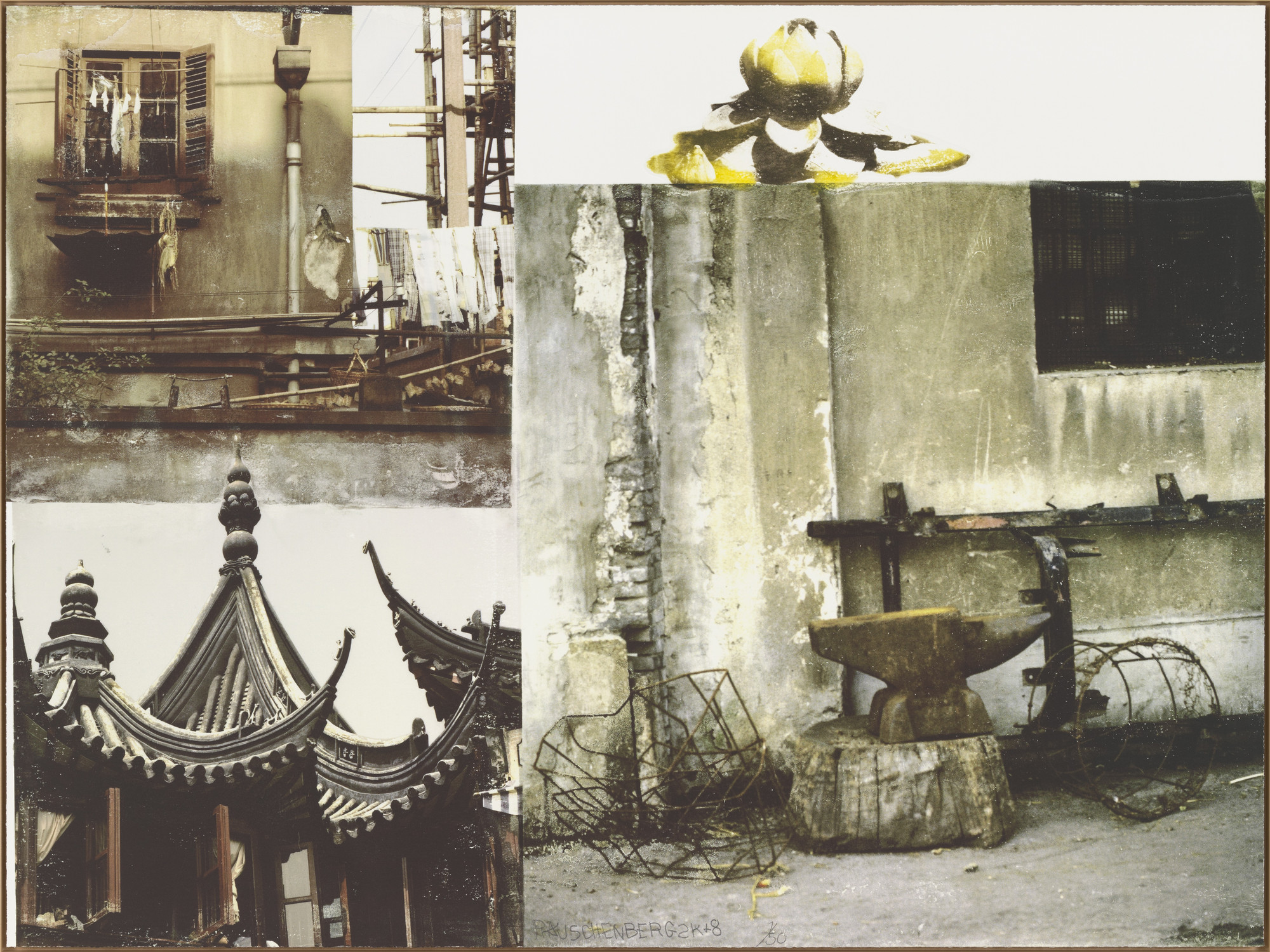 Robert Rauschenberg. Lotus III from The Lotus Series
