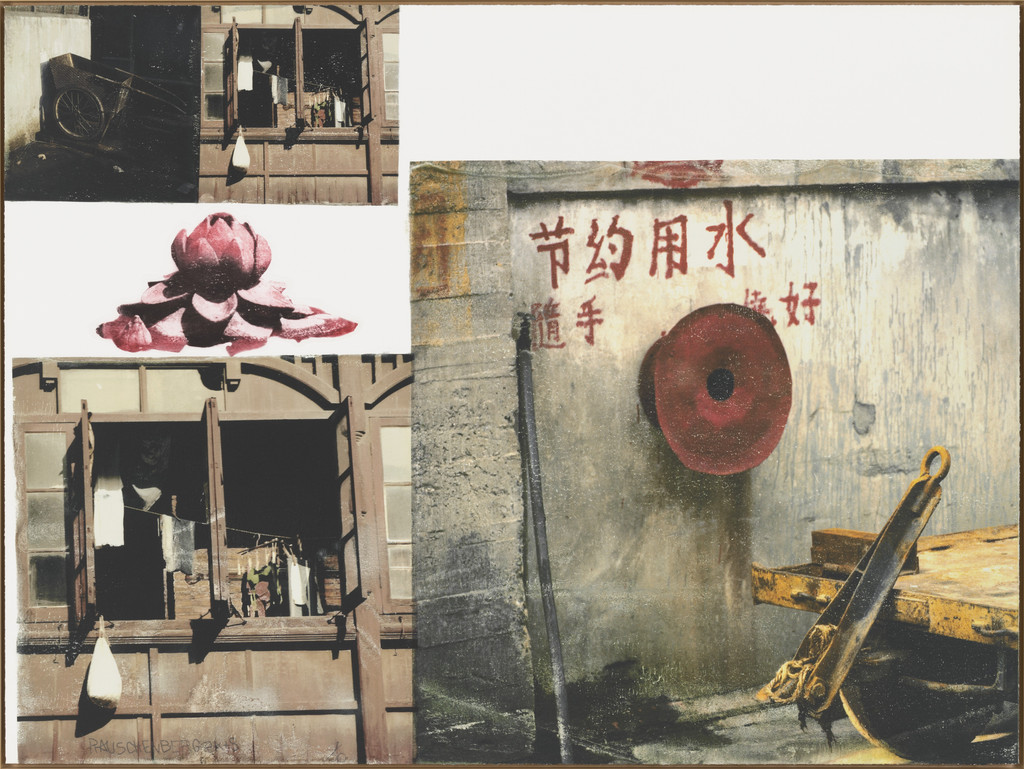 Lotus V from The Lotus Series