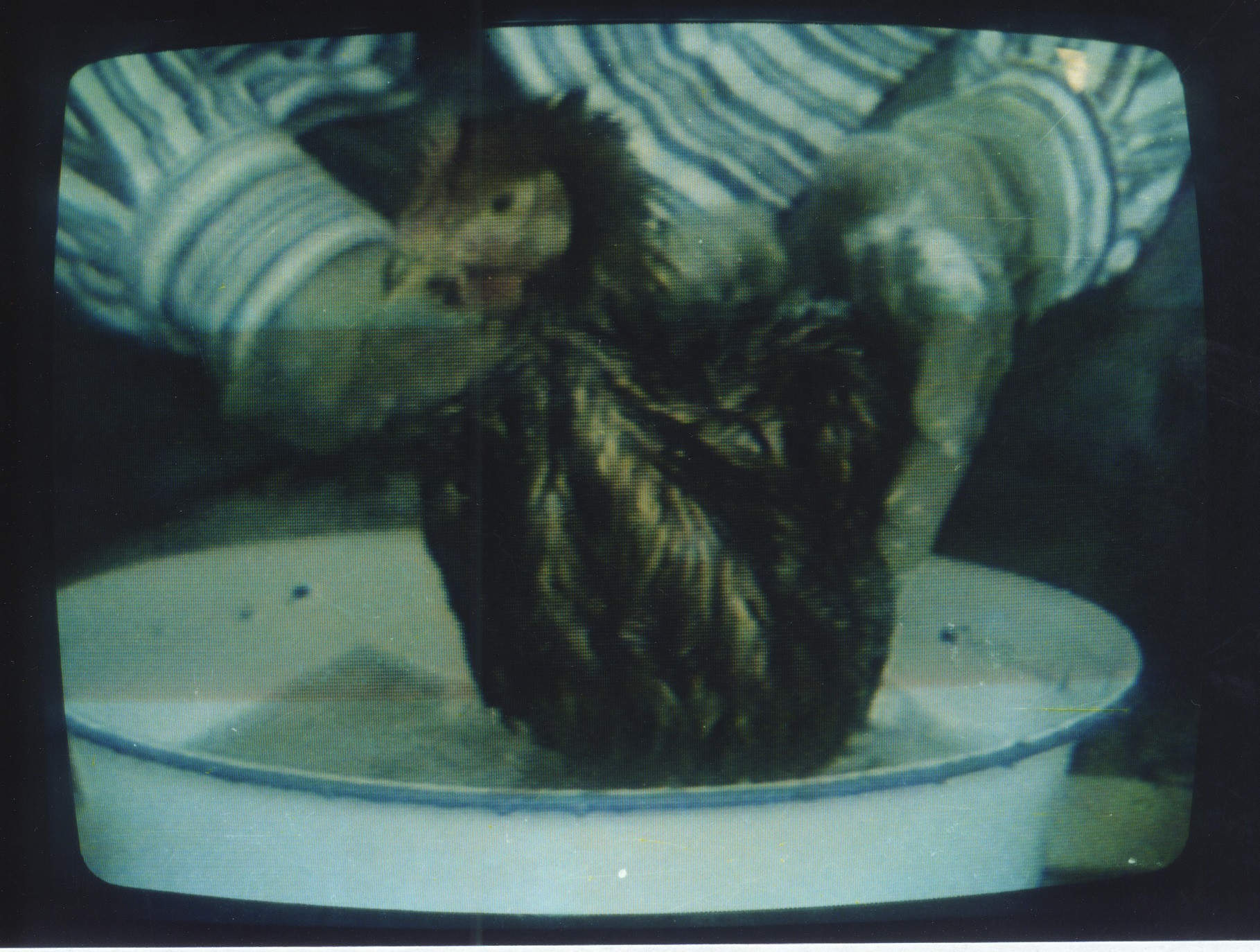 Zhang Peili. Document on Hygiene No. 3. 1991