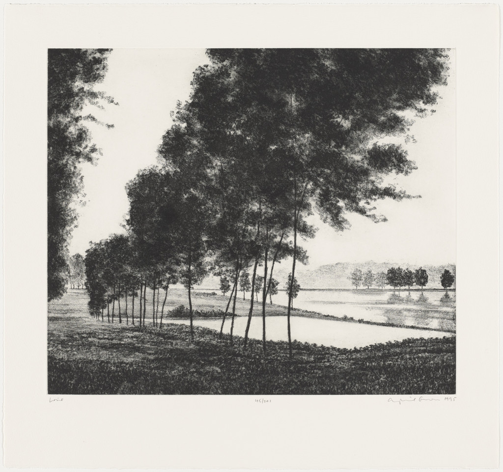 Trees