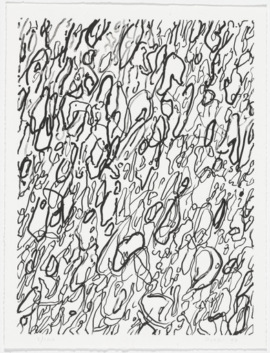 The Grass Maze from American Abstract Artists 60th Anniversary Print Portfolio