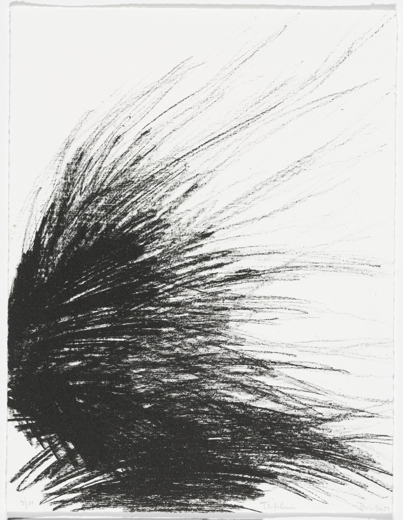 Naomi Boretz. Trifolium from American Abstract Artists 60th Anniversary Print Portfolio