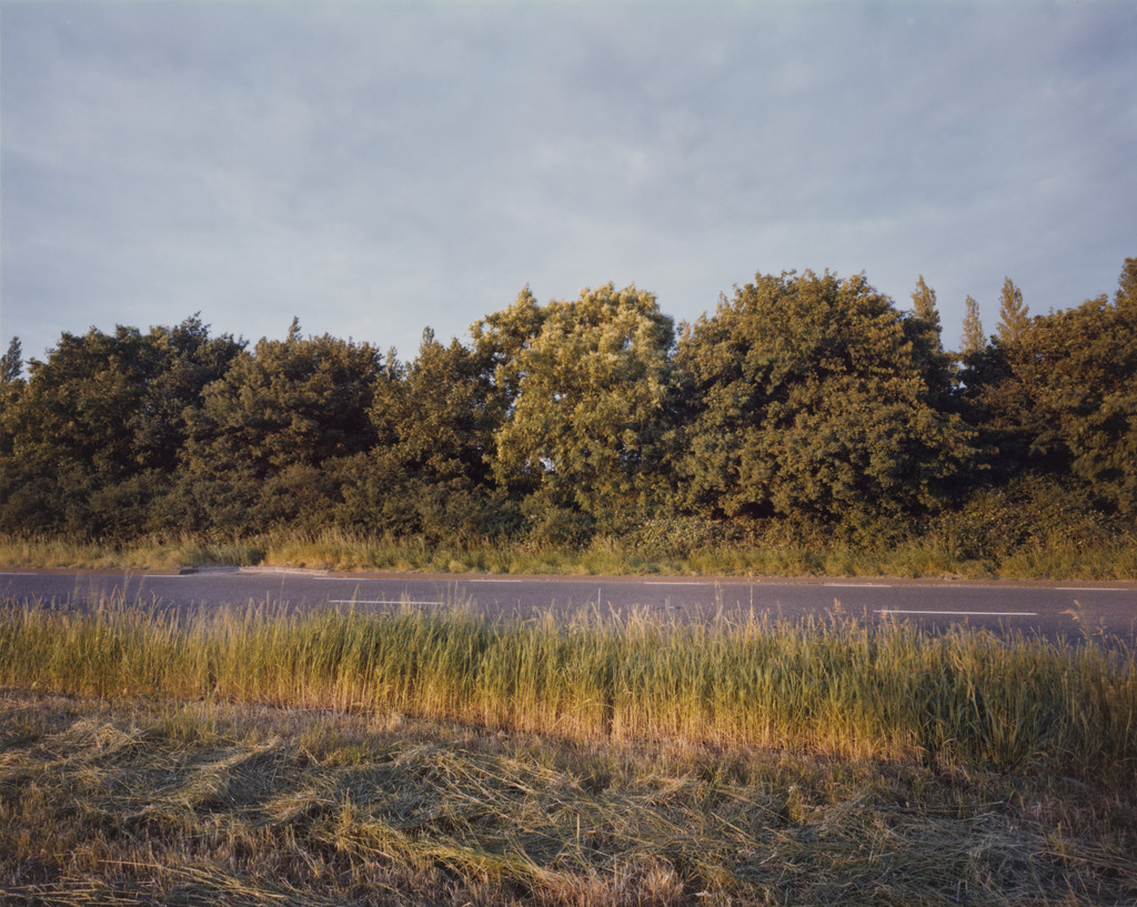 Hedge in Wind, Bedfordshire from the portfolio A1: The Great North Road