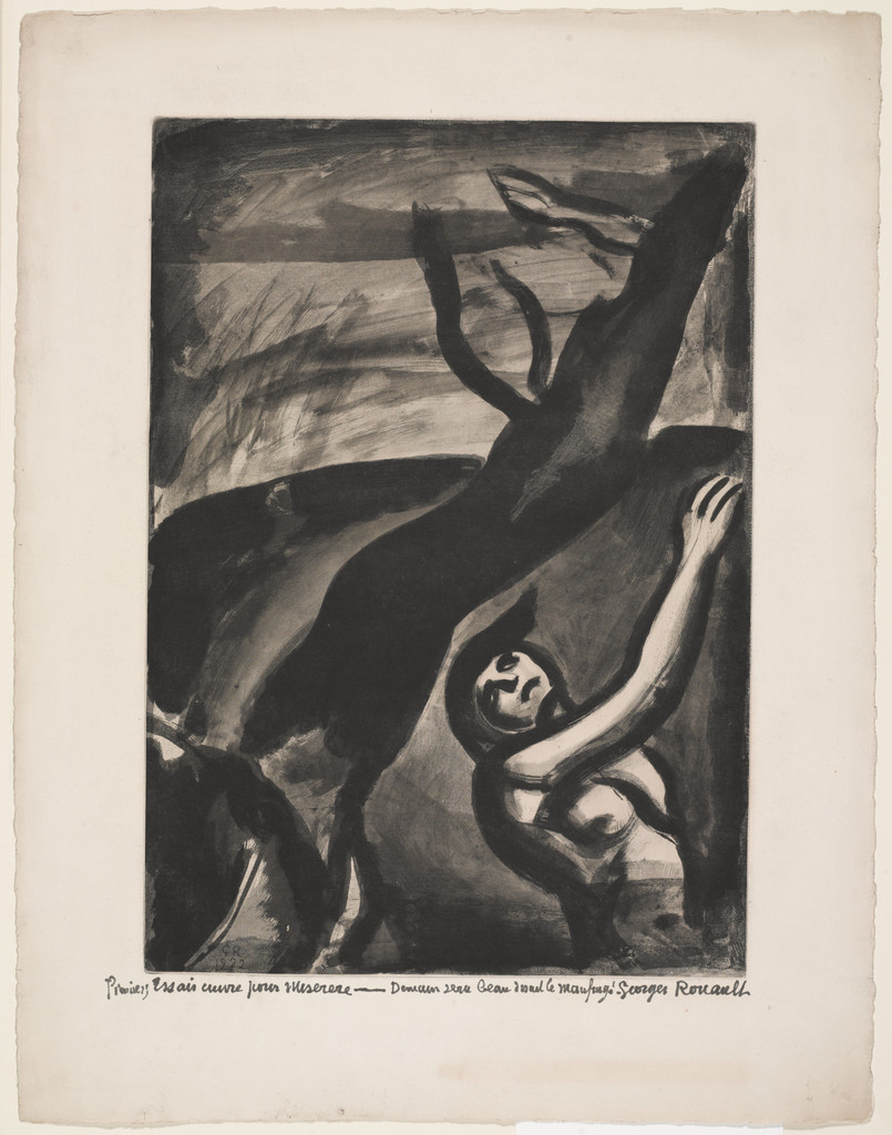 Trial proof for Tomorrow Will Be Beautiful, Said The Shipwrecked Man, plate XI from Miserere