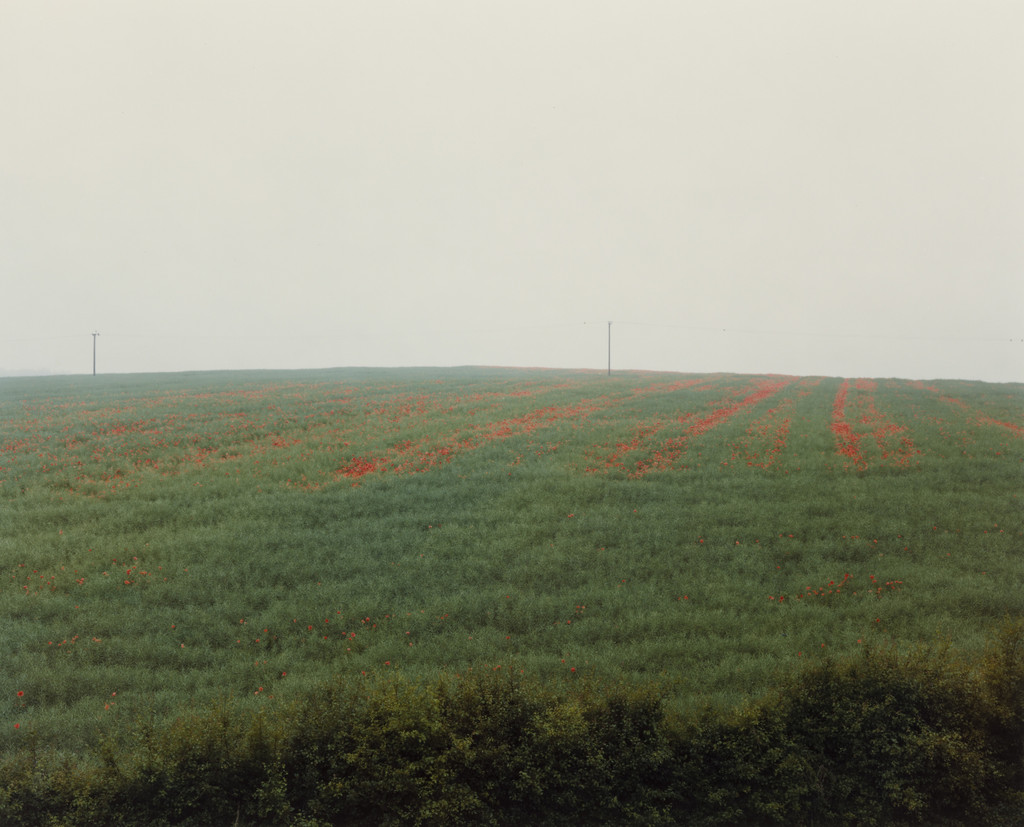 Poppies in Mist, Bramham, West Yorkshire from the portfolio A1: The Great North Road, Paul Graham, May 1982