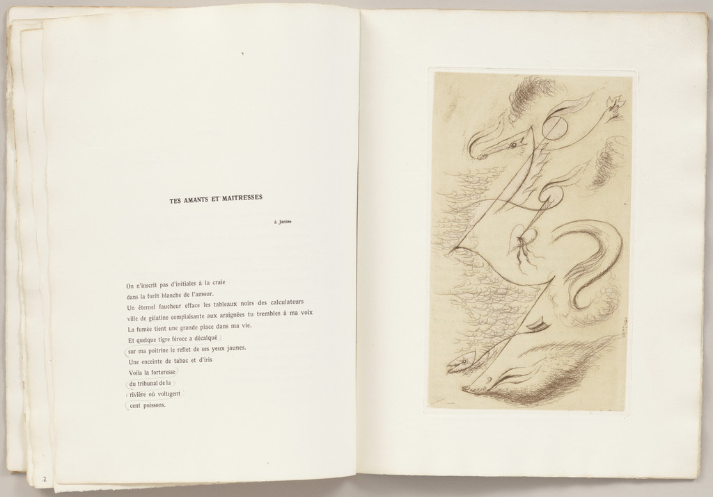 Plate (folio 10) from C'est les bottes de 7 lieues: Cette phrase "Je me vois",