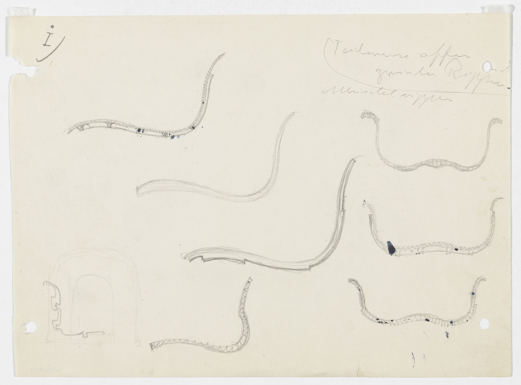 Ludwig Mies van der Rohe. Conchoidal Chair (Sections)