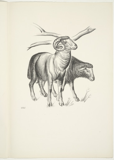 Plate (folio 16) from 'Capital' in Pictures