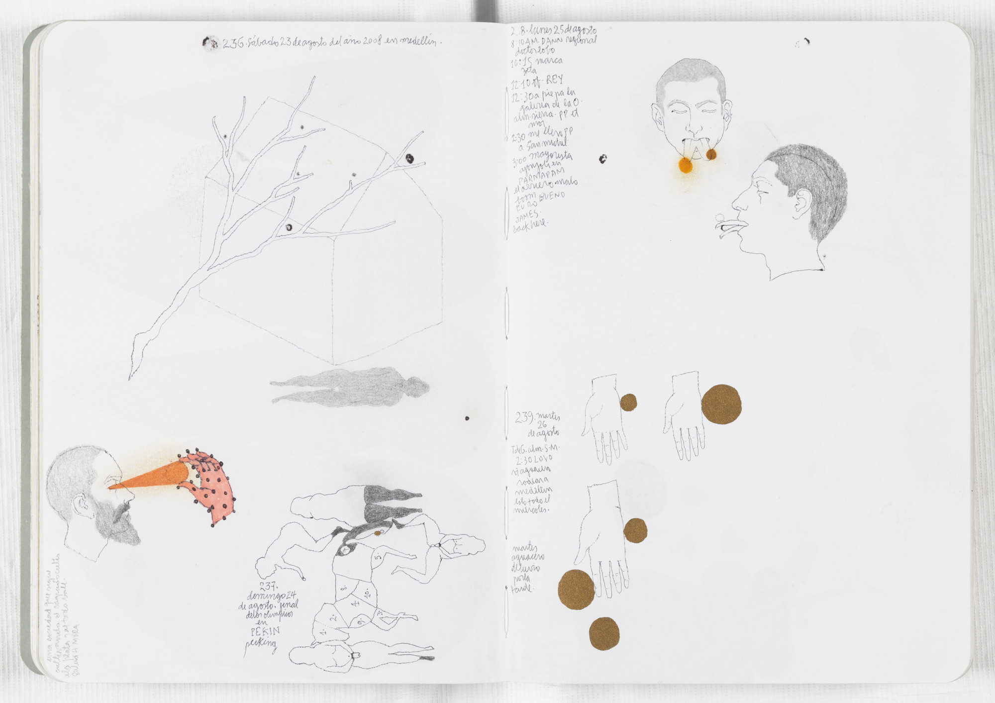 José Antonio Suárez Londoño. Sketchbook: From January 1 to December 31, 2008. 2008