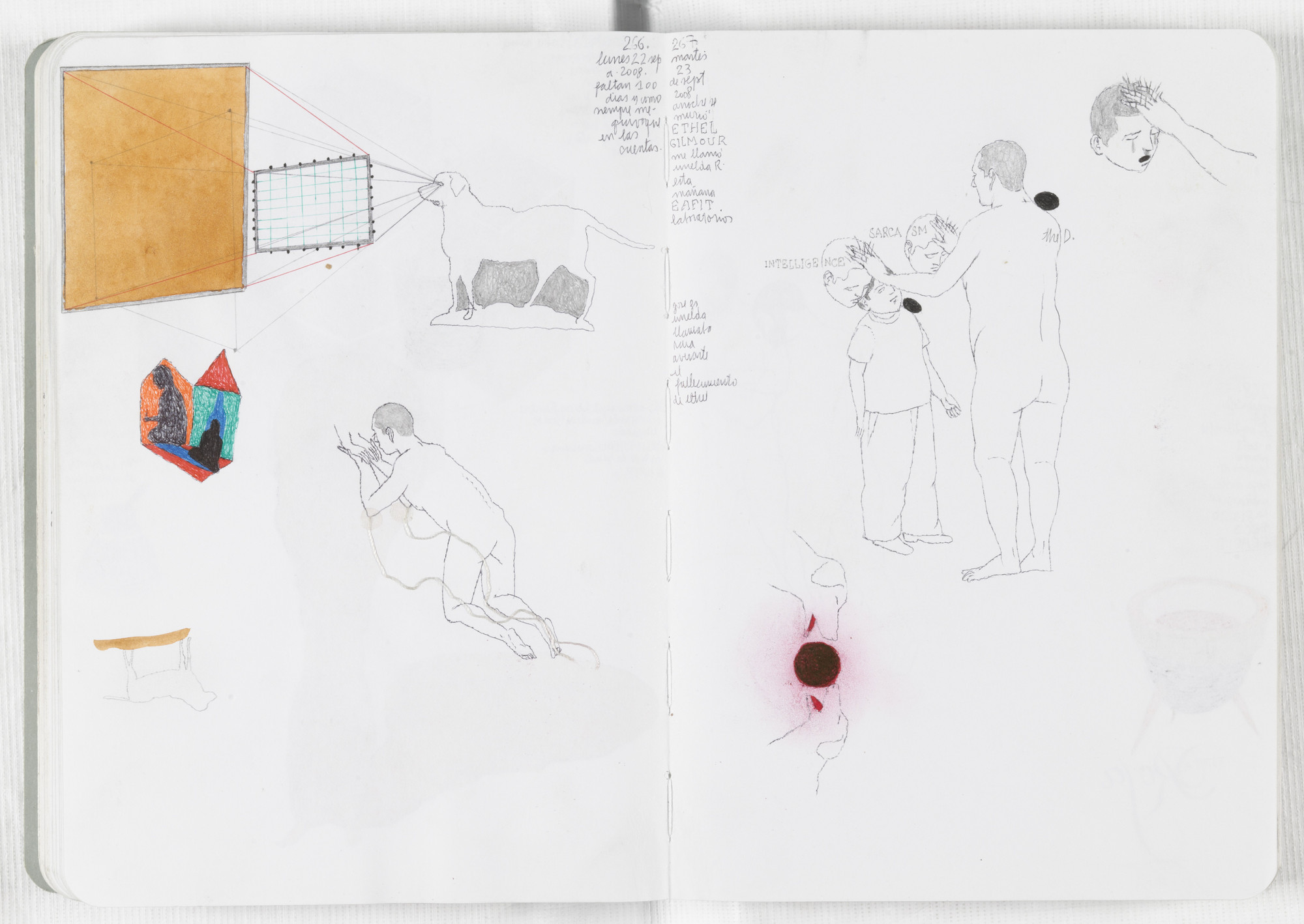 José Antonio Suárez Londoño. Sketchbook: From January 1 to December 31, 2008. 2008