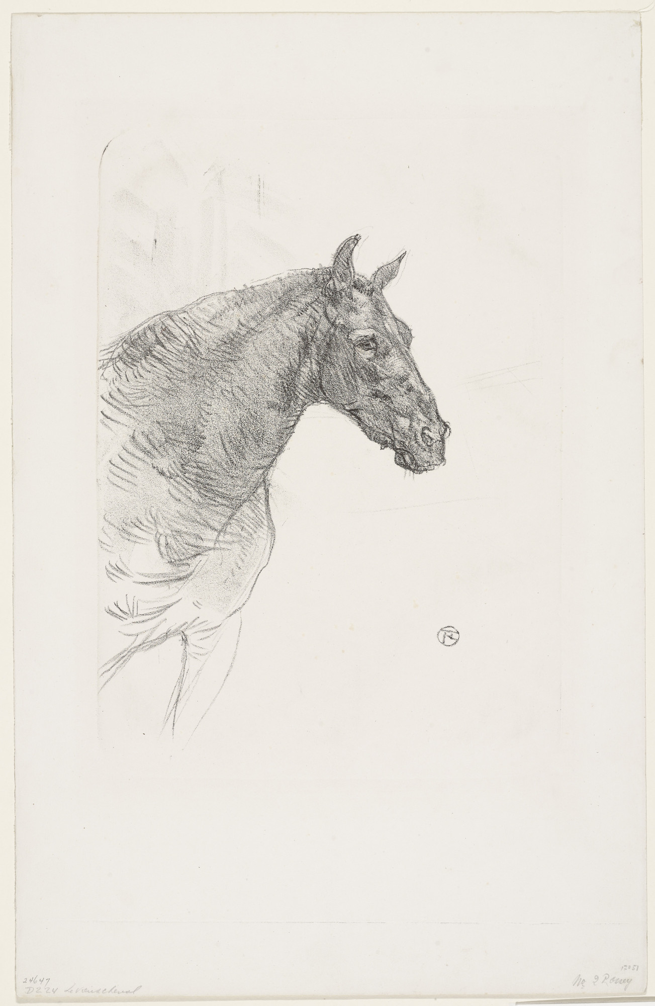 Henri de Toulouse-Lautrec. Philibert the Pony (Le poney Philibert