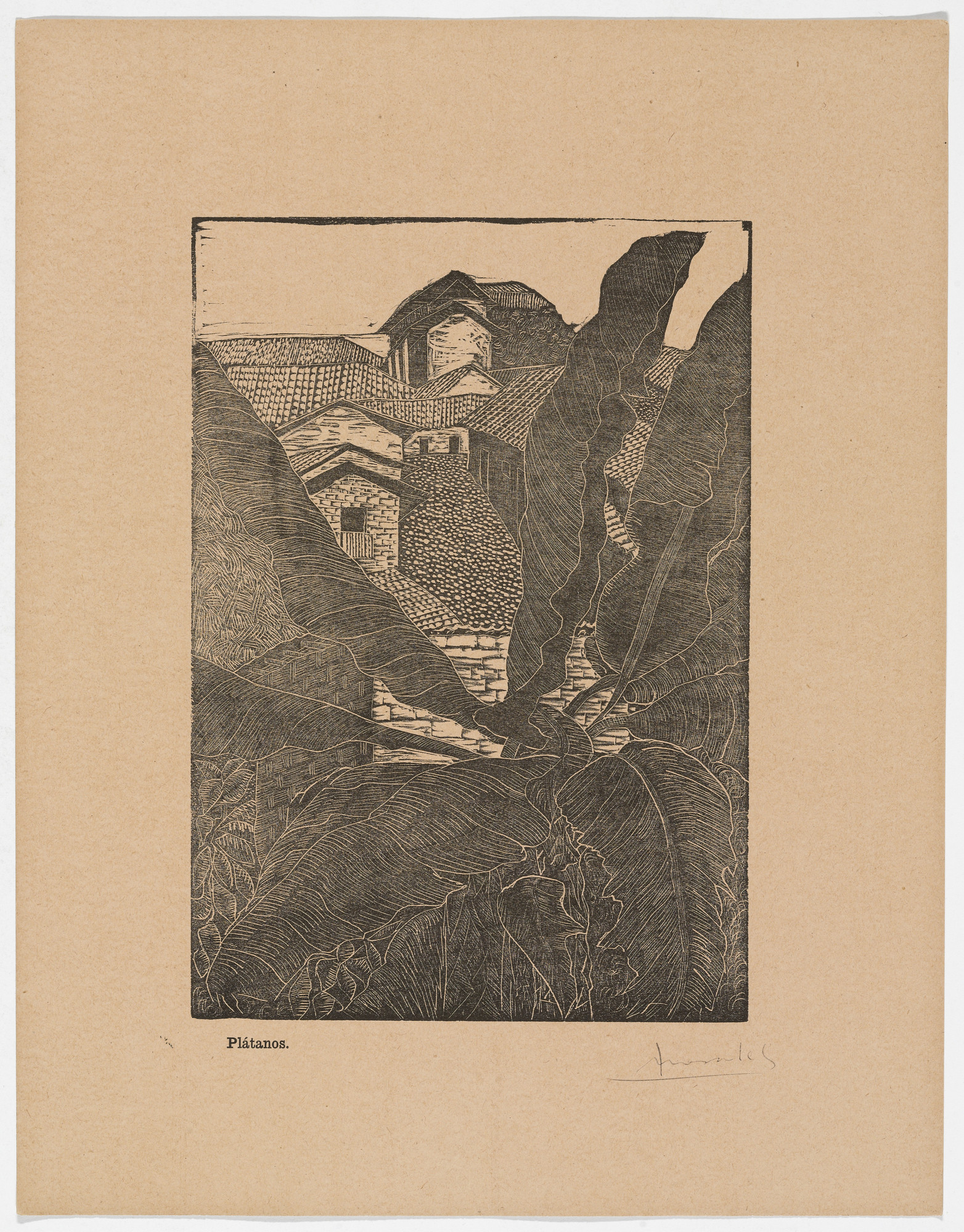 Jesús Morales Aguilar. Plantains ( Plátanos ) from Album of Prints ( Album de grabados )
