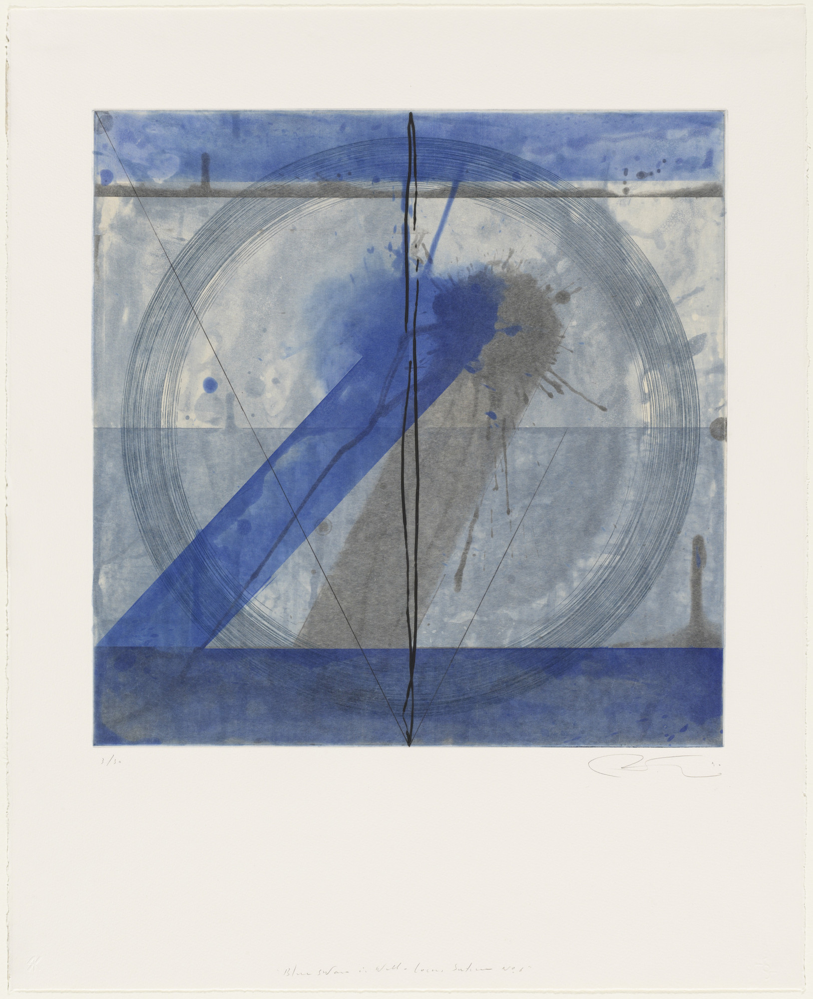 Shoichi Ida. Blue Swan in Well - Locus Sutra No. 6